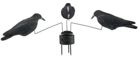 Electric crow merry-go-round