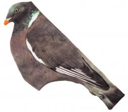 Photo AP861-2-Chaussette 3D pour appelant pigeon