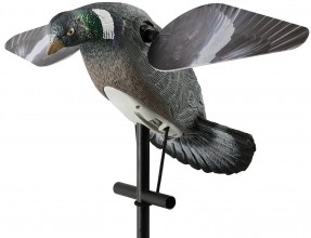 Calling pigeon HD rotating wings