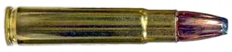 Sologne .356 Win central percussion cartridges