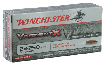 Photo BW2253-01 Large hunting ammunition Winchester Cal. 22-250 REM