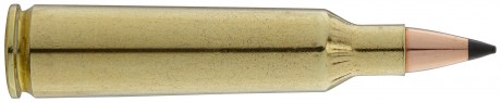 Photo BW2253-02 Large hunting ammunition Winchester Cal. 22-250 REM