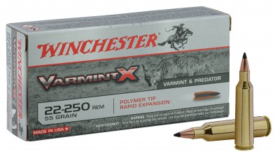 Photo BW2253 Large hunting ammunition Winchester Cal. 22-250 REM