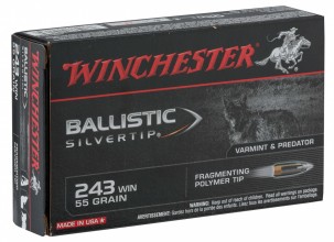Photo BW2431-3 Winchester Caliber 243 WIN Large Hunting Ammunition
