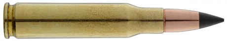 Photo BW3103-02 Munition Winchester Cal. . 308 win - chasse et tir