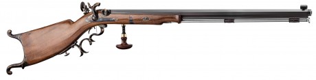Waadtländer caliber 45 rifle