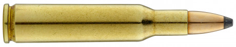 Photo RWS010-03 Large hunting ammunition RWS Cal. 222 REM type TMS
